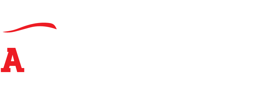 L and N Auto Upholstery